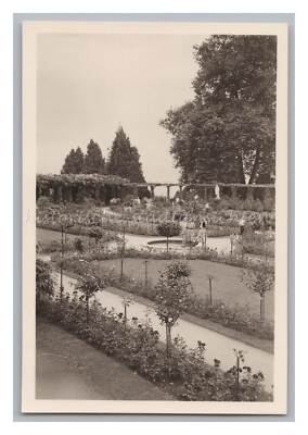 Mainau Island on Lake Constance 1952 Park Old Photo 1950s