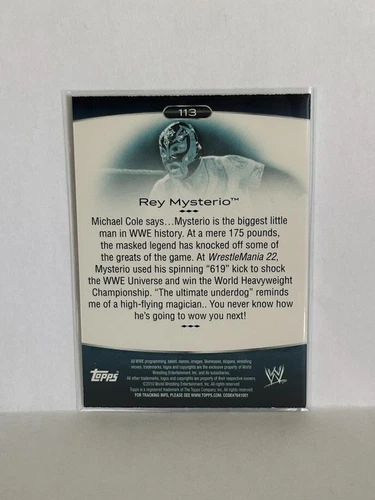 Rey Mysterio 2010 Topps 白金 WWE 彩虹卡 # 113 WWF - 第 4 张/共 6 张