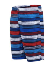 NWT 38 Nike Youth Boy's Stripe Lap 8" Volley Short Swim NESSB868 Size L