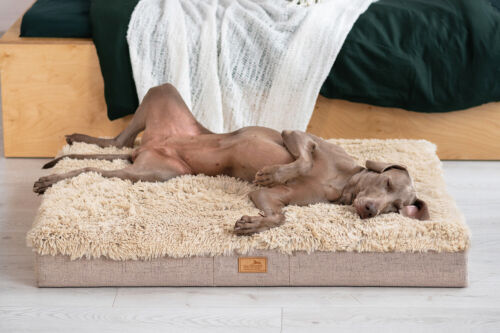 tierlando® Orthopädische Hundematratze PABLO Shaggy ORTHO PLUS - Afbeelding 1 van 11
