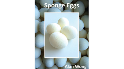 Sponge Eggs (4pk.) by Alan Wong Schaumstoff Eier Schwamm-Eier 4 Stück