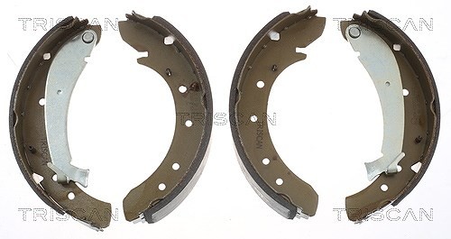 Triscan Bremsbackensatz Hinterachse U.A. FüR CitroËN, Fiat, Peugeot, Toyota-image
