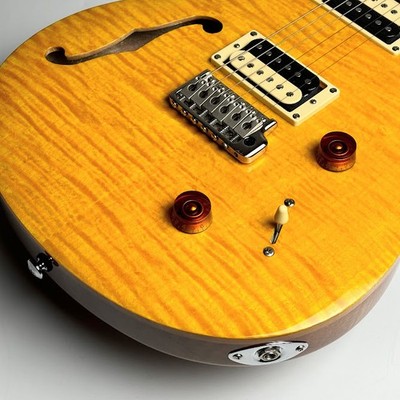 Paul Reed Smith (PRS) SE custom22 Semi-Hollow (Santana Paul Reed Smith (PRS) SE custom22 Semi-Hollow (Santana