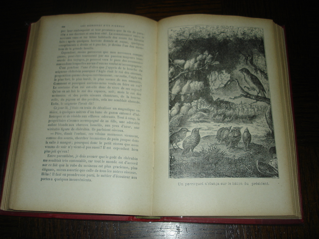 Picture 6 of 9