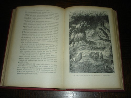 LES AVENTURES D'UNE FOURMI ROUGE - H. de la Blanchère - Ill. Mesnel Giacomelli - Picture 6 of 9