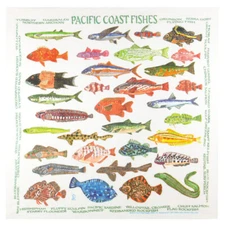 Printed Image Pacific Coast Fish Bandanna 22" x 22" Camping Survival Outdoors