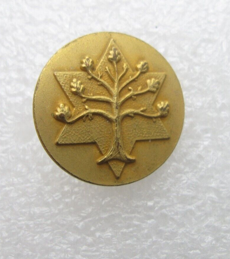 6 Point Star Tree Lapel Pin (C62)