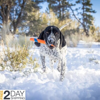 Outdoor Fetching Throwing Toy for Dogs Interactive Stick Ordinary Game Durable