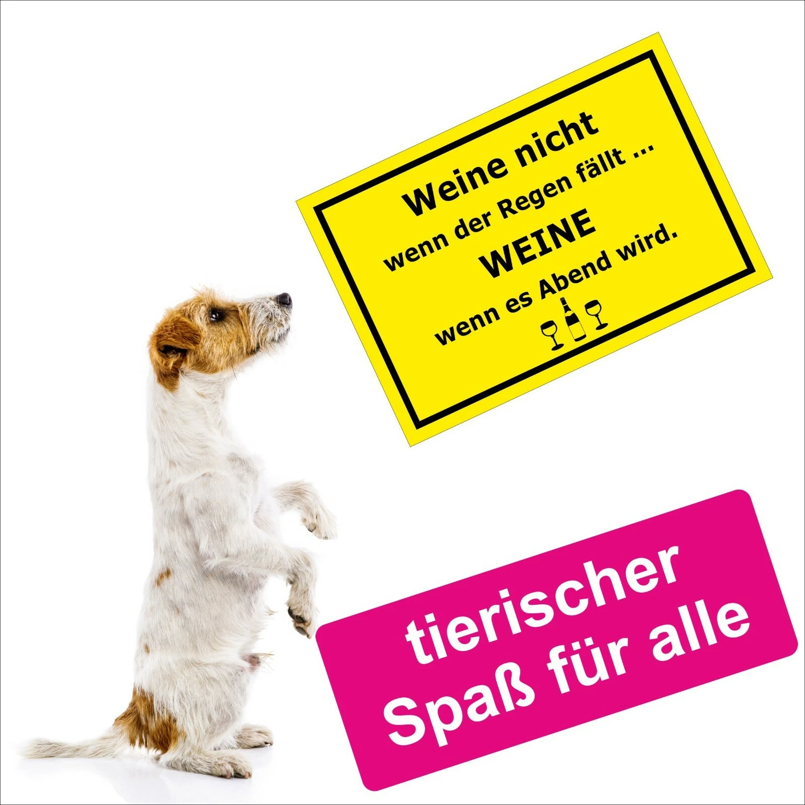 Bild 4 von 7