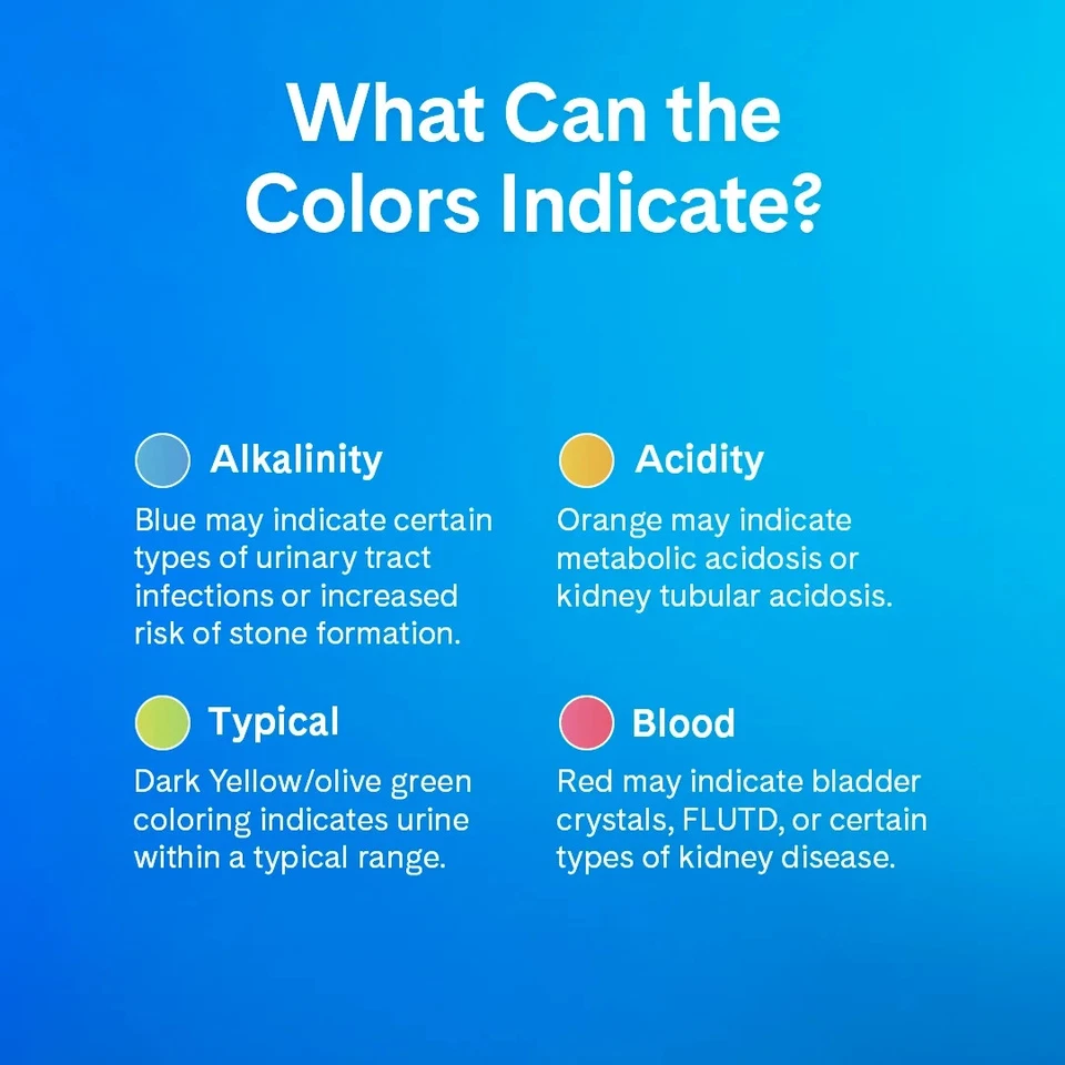 (pacote com 2) ninhada bonita perfumada 8 lb monitoramento de saúde areia para gatos 2 meses - Imagem 3 de 4