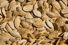 Lot de 25 Seeds POTIMARRON - BIO non traitées - Potiron Légume ancien - GDJ