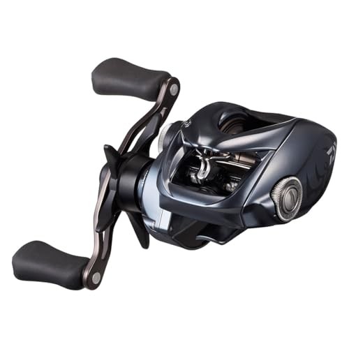 Daiwa 25TATULA Bait Reel SV TW 100NEW | eBay