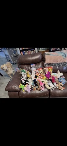 Vintage Lot Of64 T Y Beanie Babies Some Very Rare Adult Owned Ca 1980's Get All