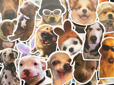 50 Dog Meme Stickers Doggo Faces Funny Dogs Laptop Water Bottle Phone