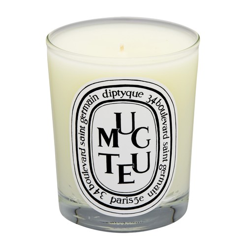 diptyque lily of the valley scented candle 6.