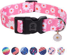 Flower Daisy Dog Collar Spring Floral Soft Adjustable Pet Boy Girl Collar for Sm