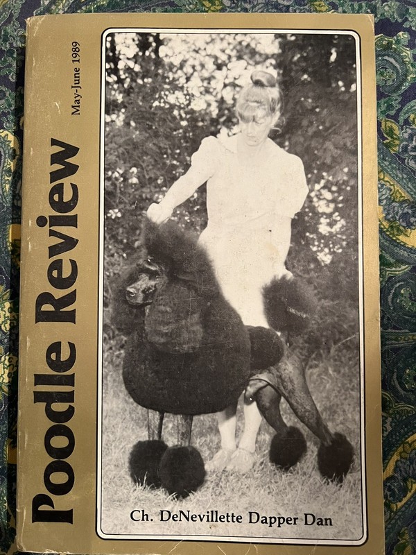 POODLE REVIEW Magazine #33 Stud Issue 1989