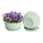 New ListingPlant Pots Pack of 2, Plastic Planter with Drainage Holes and 8 inch Green
