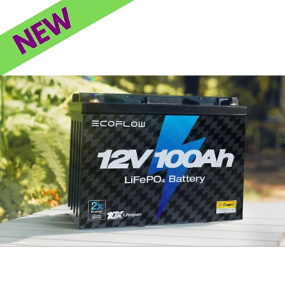 EcoFlow Lithium 12V 100Ah Deep Cycle LiFePO4 Battery Reliable Power Backup New