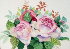 ACEO Blumen Rose Aquarell Gemälde Autor Miniatur 2,5"x3,5" kein Druck