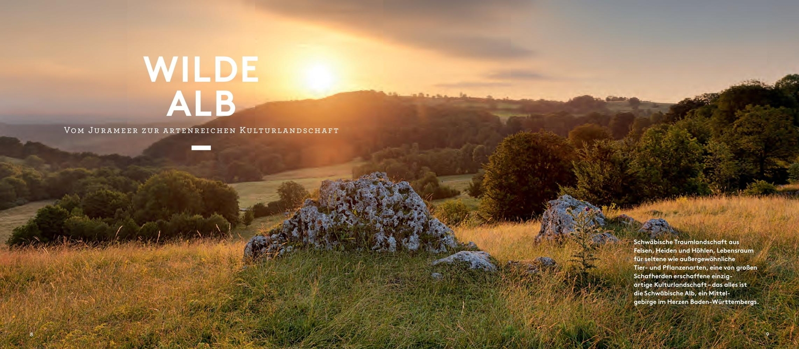 Thumbnail - Wilde Alb Bernd Nill