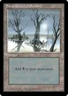 MTG - SNOW-COVERED SWAMP - Ice Age