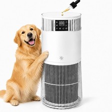 GarveeHome H13 HEPA Air Purifier 24dB Aroma Sensor White