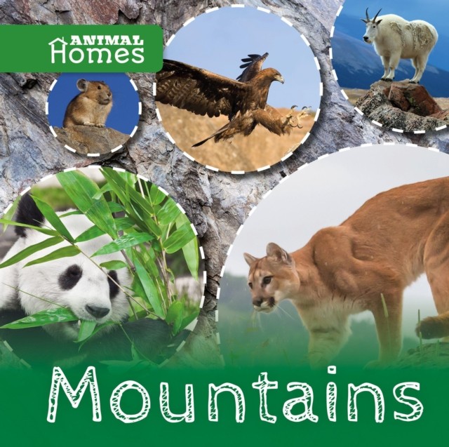 Mountains by John Wood HARDBACK 9781786371355