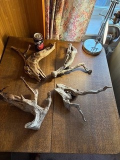 Driftwood x5 heavy silver branches. of bogwood for vivarium or Display