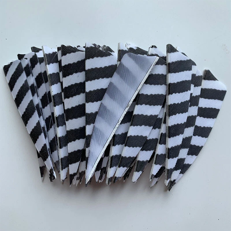 50PCS 3inch Striped White Shield Fletches Arrow Feathers RW LW - Image 3 of 4