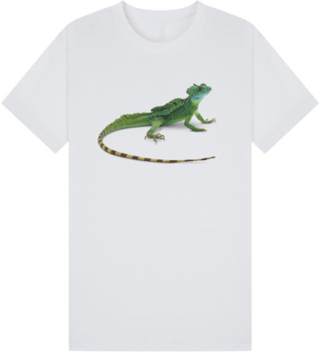 Eidechse T-Shirt Herren Damen Unisex Oberteil