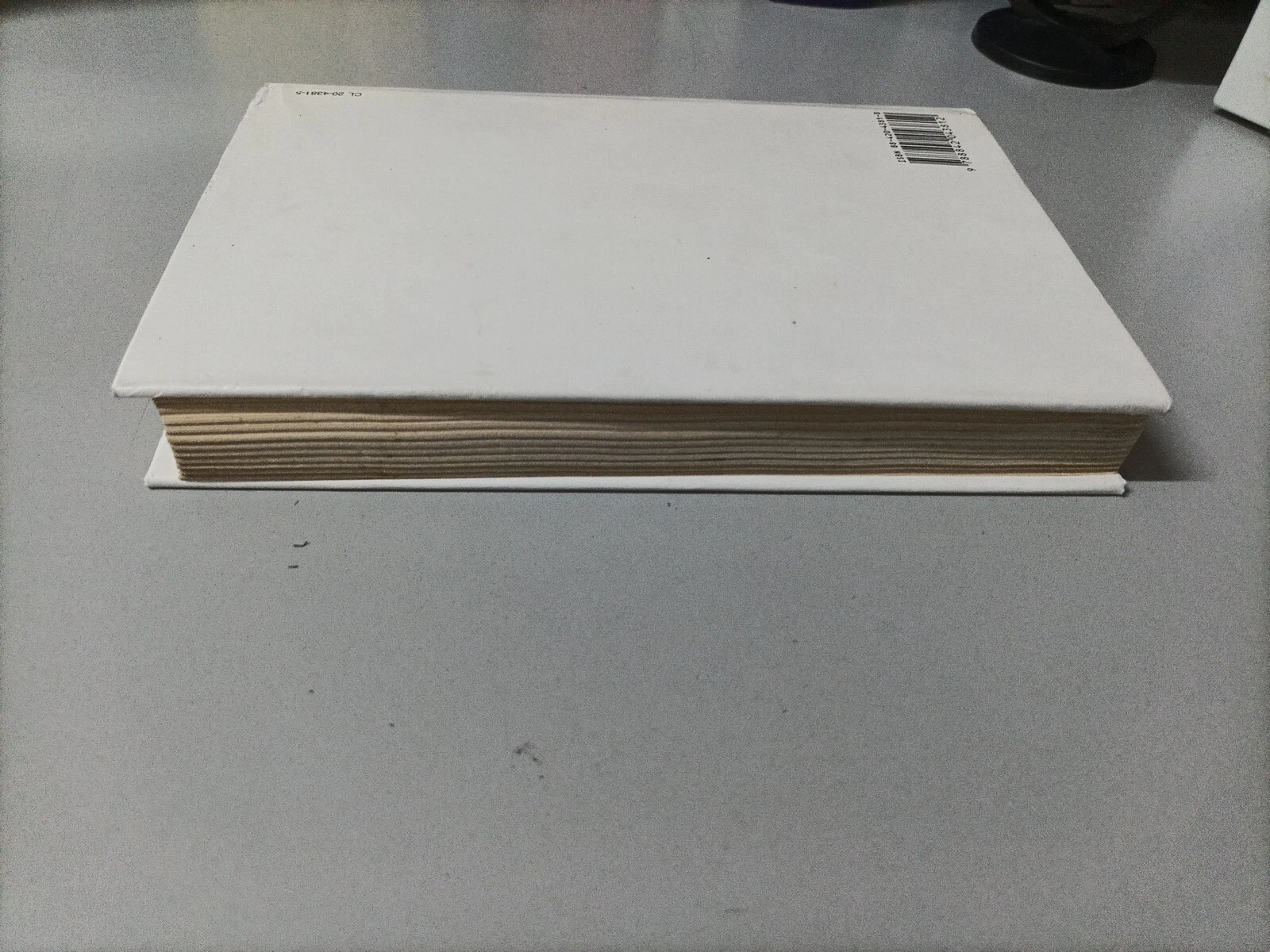 Foto 5 di 24