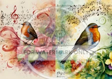 Musical Bird Duo | A4 Rice Paper | Paper for Decoupage | Decoupage Central