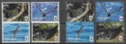 Niuafo'ou 2016 WWF Wildlife Fauna Birds Vögel Oiseaux Petrel 2 compl sets MNH