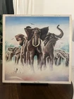 Elvis Costello Armed Forces 1979 UK Radar RAD 14 A1/B1 EX Vinyl LP