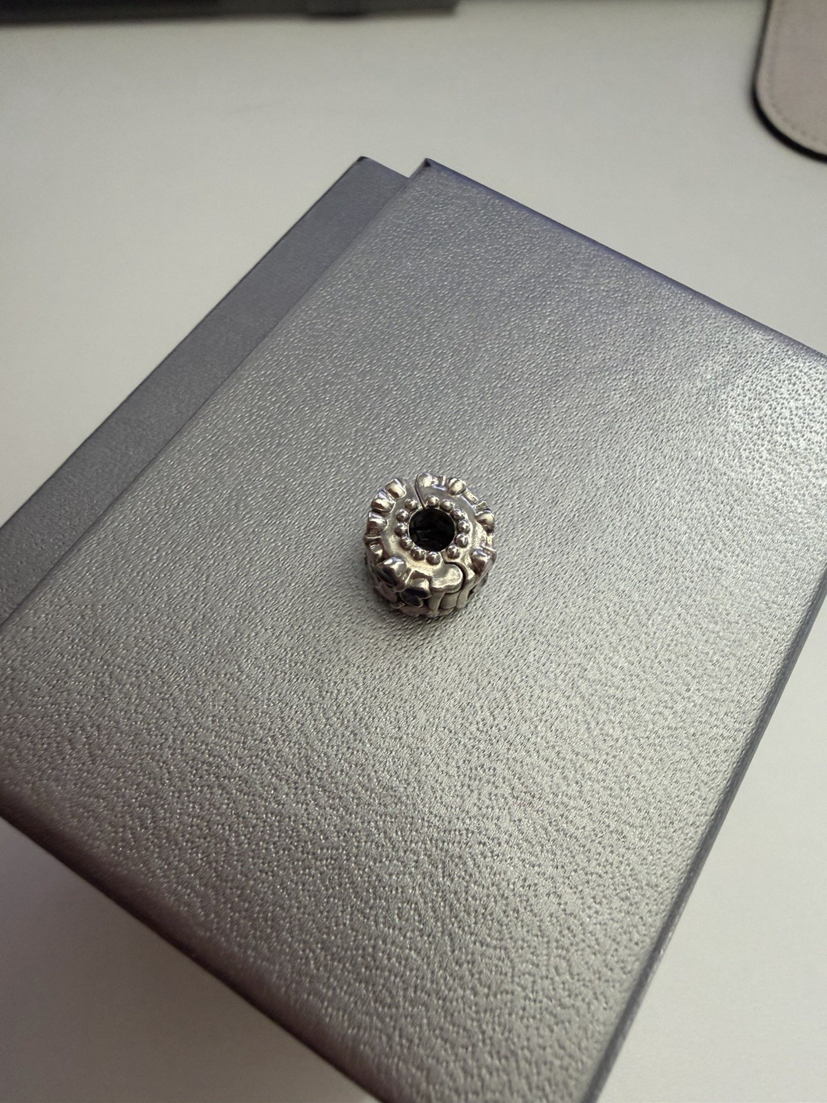 Pandora Charm