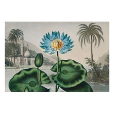 Non-Woven XXL Wallpaper 3D Effect Bedroom  An Exotic Lily In A Tropical Setting