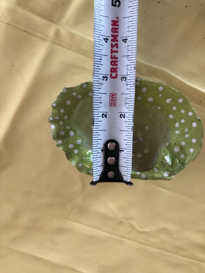 vela de concha de ostra real feita à mão - Imagem 3 de 4