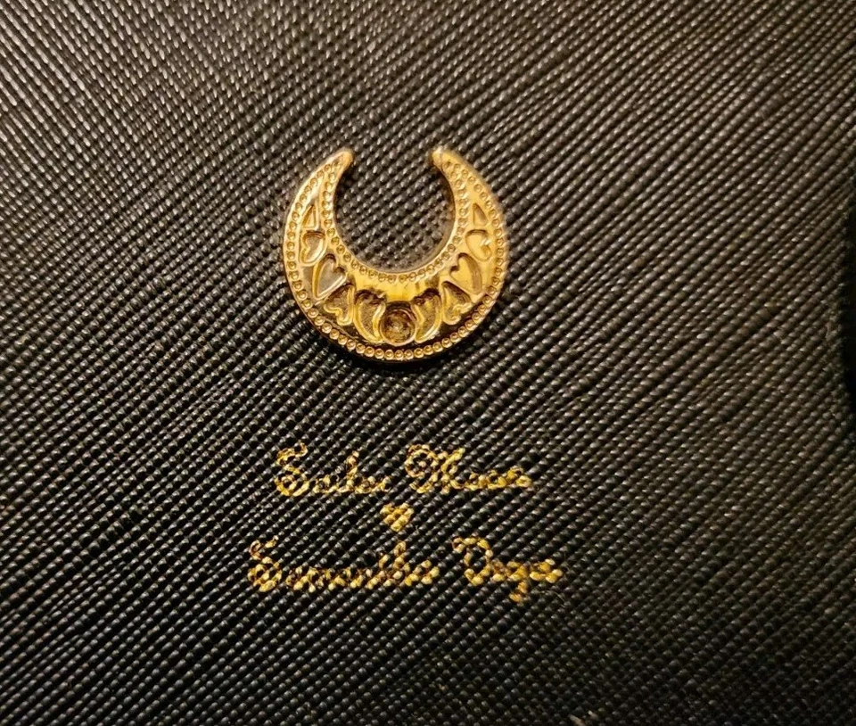 Bolso de Hombro Samantha Vega Sailor Moon X Luna Negro - Usado Foto 2 de 4