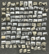 Vintage 1930s-50s Real Photos Photographs - Black White - Huge Lot of 103