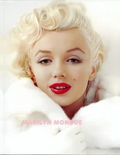 MARILYN MONROE #28 BEAUTIFUL COLOR  PHOTO 11 X 8.5 SHIPS FREE