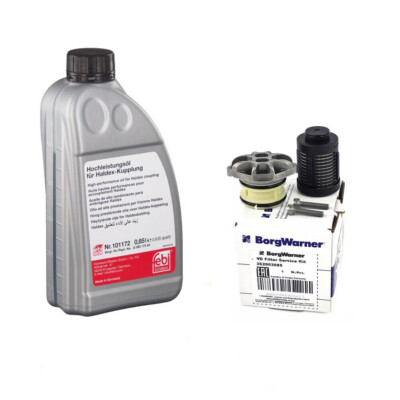 BorgWarner Hydraulic Filter for Precharge Pump Haldex Clutch 1 Litre Oil for VW AU