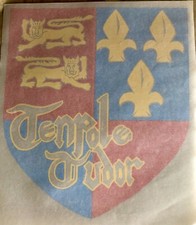 Original Vintage Tenpole Tudor English Punk Band Iron On Transfer