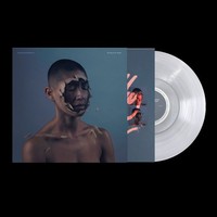 Manchester Orchestra: Manchester Orchestra: The Valley Of Vision (Transparent V