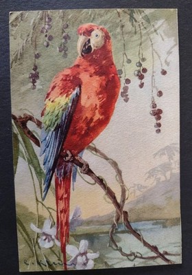 Schöne Vogel Postkarte, Roter Papagei, Künstlerin Katharina Klein