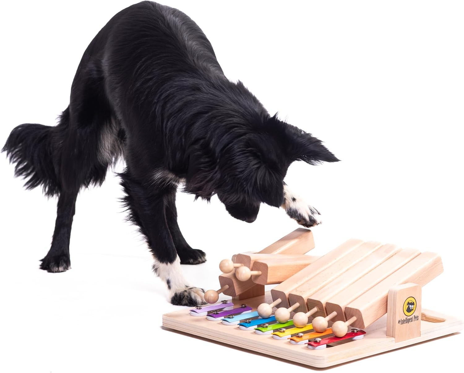 Piano Interattivo Cane Giocattolo Interattivo per Cani in Legno Giocattolo Intel