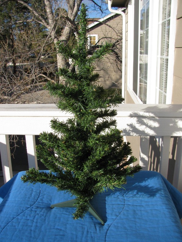 Christmas Tree (table top) with box and lights.