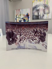 Chicago Blackhawks 2010 Stanley Cup Team Celebration on Ice Photo Curved Glass