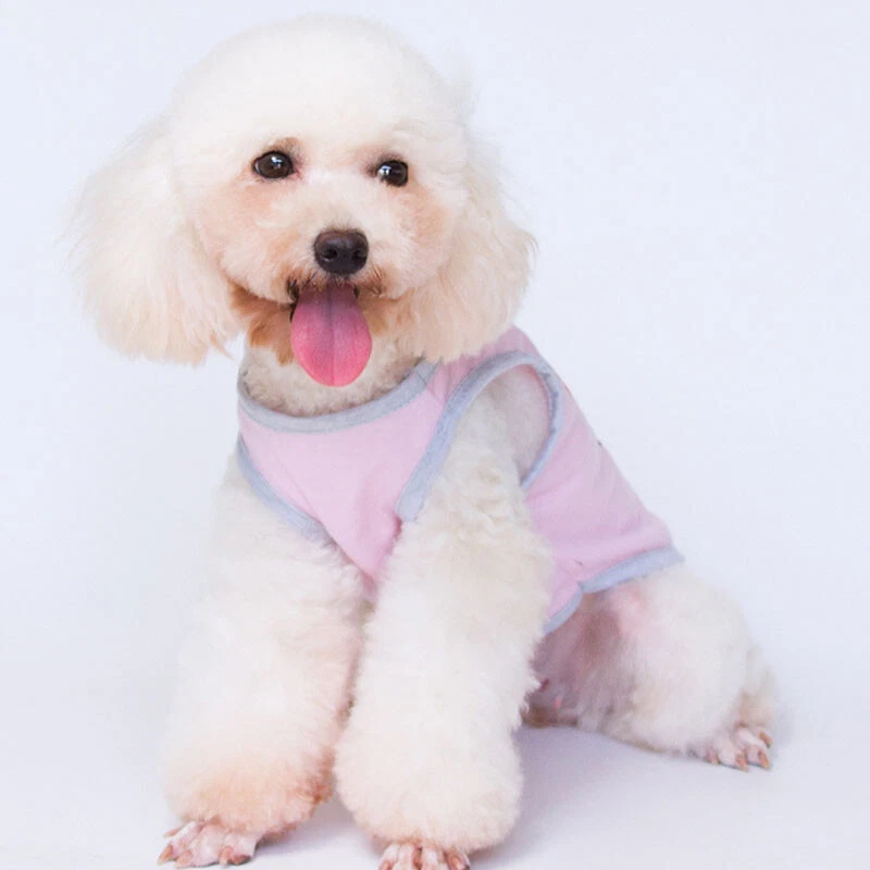 Pet Clothes Cat Small Dog T-Shirts for Puppy Chihuahua Vest Clothing Summer Cute - Image 4 of 4