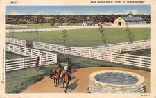 Kentucky Postcards    Blue Grass Stock Farm In Old Kentucky